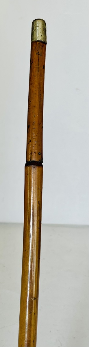 Canne fusil sarbacane -photo-8